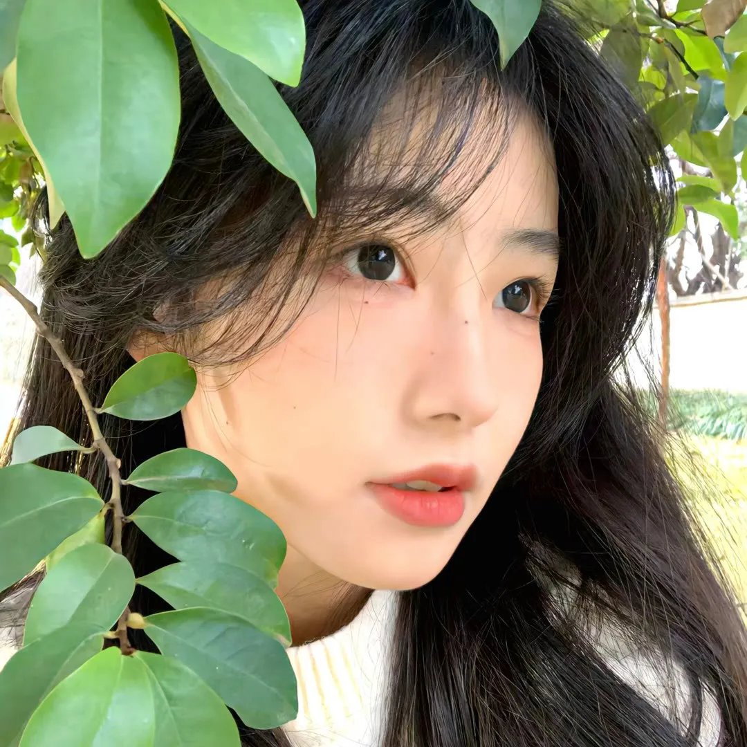 铁汉艳姬